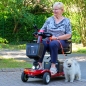 Preview: Zusammenklappbare 4-Rad-Roller für Senioren von Rolektro | Reichweite 20 km